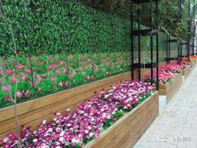 花卉園藝師證報(bào)考指南 報(bào)名流程、考試內(nèi)容及費(fèi)用全解析