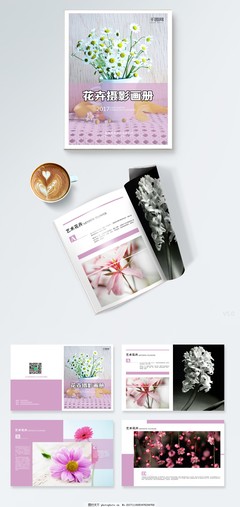 生命的簡(jiǎn)約美學(xué) 花卉攝影與苗木種植的藝術(shù)畫(huà)冊(cè)